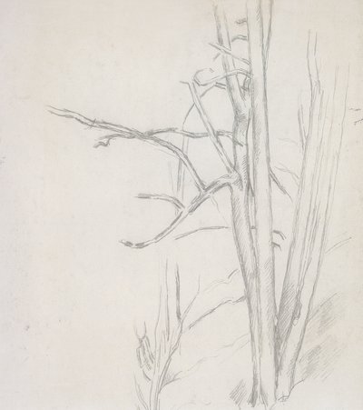 Tree Study by Paul Cézanne